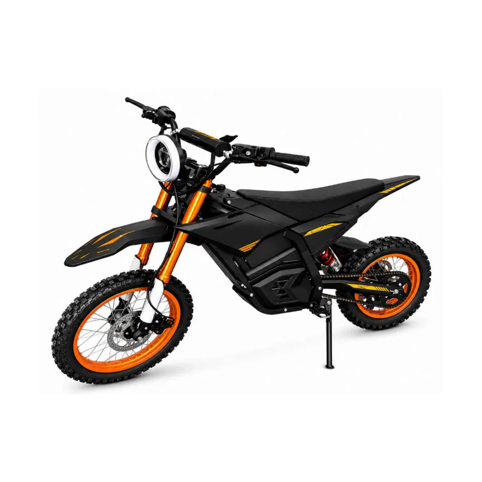 W1 PLUS — Moto elétrica